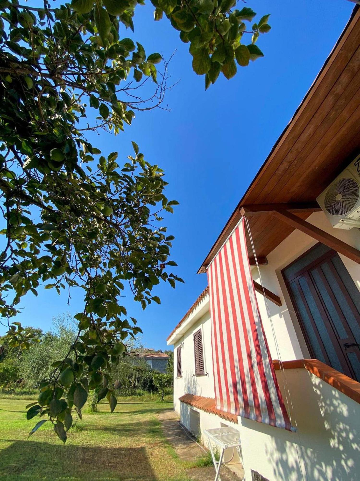 Villa Gladyr Lotzorai Exteriör bild